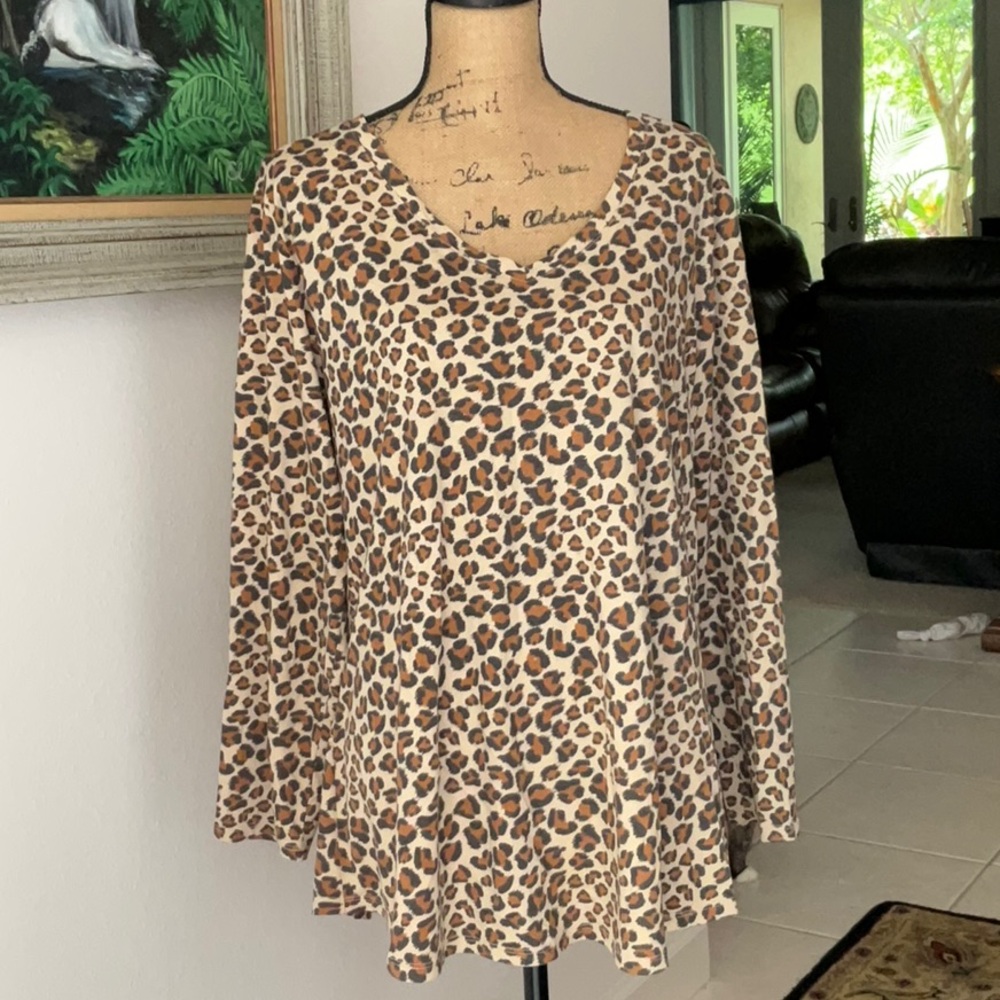 Terra Sky Leopard Print V Neck Top
